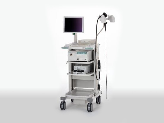 上部消化管内視鏡検査（胃カメラ）